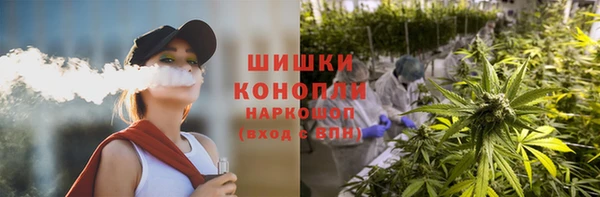 spice Богородск