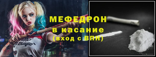 spice Богородск
