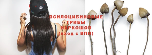 ешки Богородицк