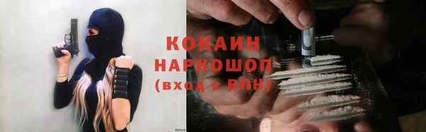 тгк Богданович