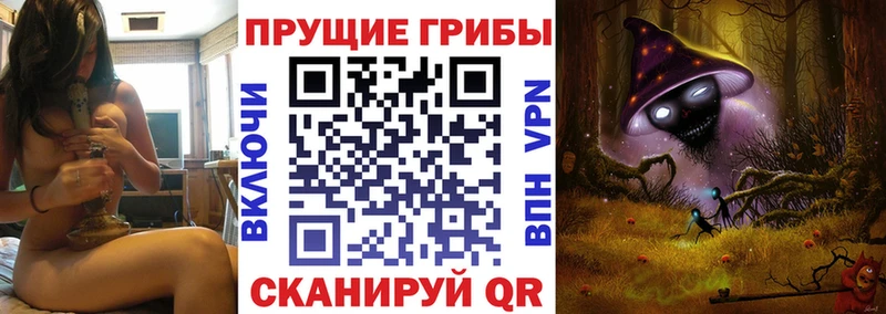 Псилоцибиновые грибы ЛСД  Дигора 